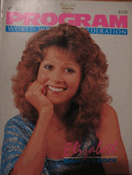 WWF Wrestling Program Volume 151 Magazine PWcatalog