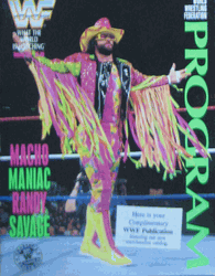 WWF Wrestling Program  Volume 206