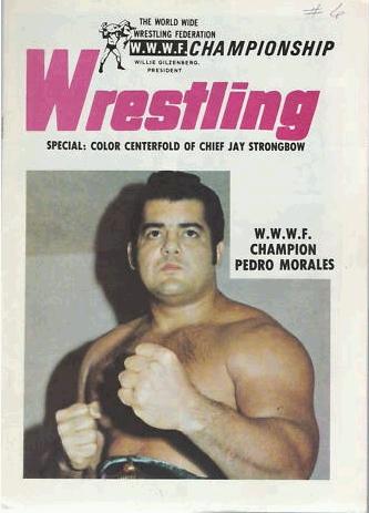 WWWF Program 1973 Volume 4 Magazine PWcatalog