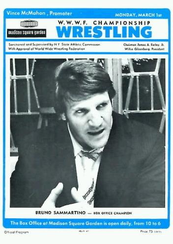WWWF Program MSG March 1th 1976 Magazine PWcatalog