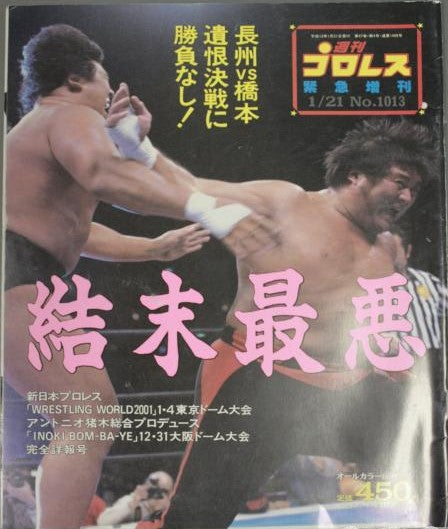 Weekly Pro Wrestling Volume 1013 Magazine PWcatalog