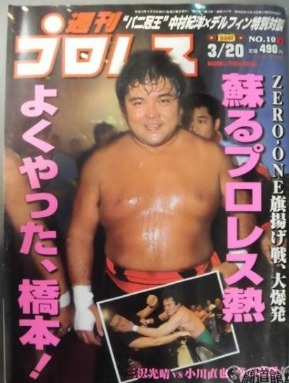Weekly Pro Wrestling Volume 1022 Magazine PWcatalog