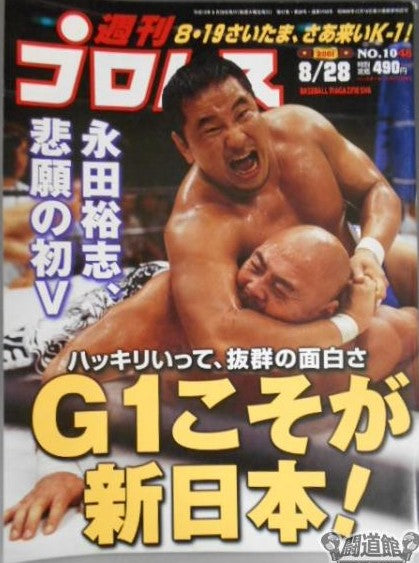 Weekly Pro Wrestling No. 1048