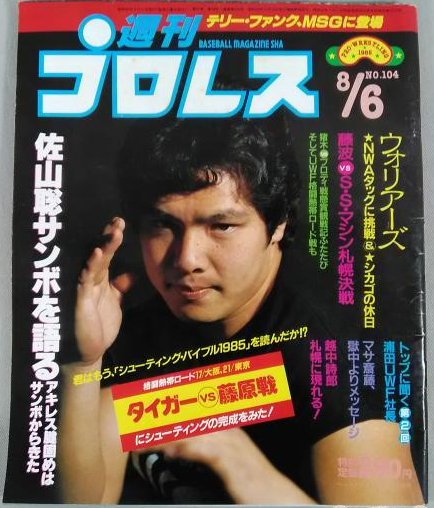 Weekly Pro Wrestling Volume 104 Magazine PWcatalog