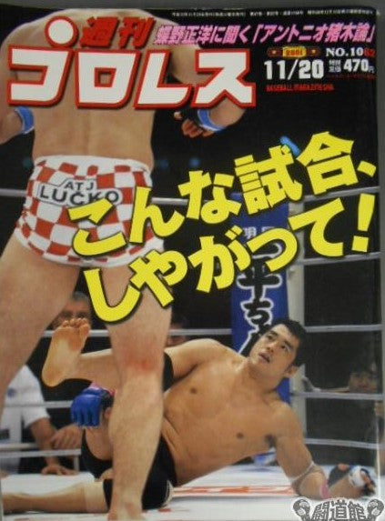 Weekly Pro Wrestling Volume 1062 Magazine PWcatalog