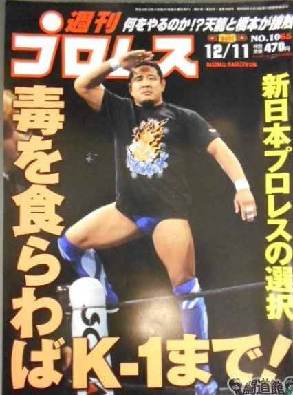 Weekly Pro Wrestling Volume 1065 Magazine PWcatalog