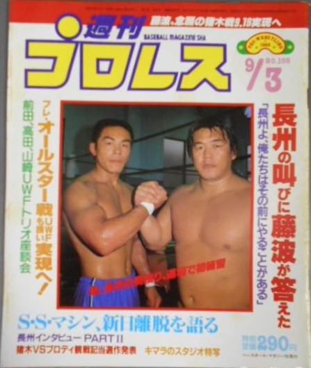 Weekly Pro Wrestling Volume 108 Magazine PWcatalog