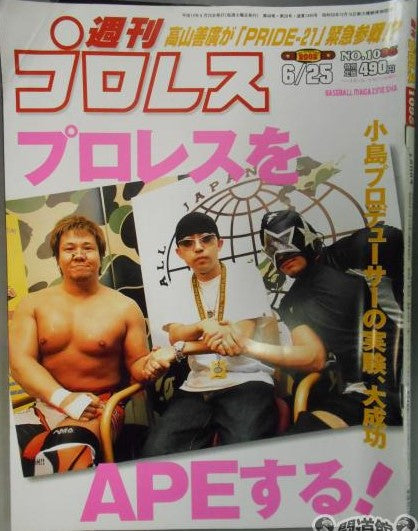 Weekly Pro Wrestling Volume 1095 Magazine PWcatalog