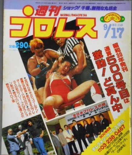 Weekly Pro Wrestling Volume 110 Magazine PWcatalog