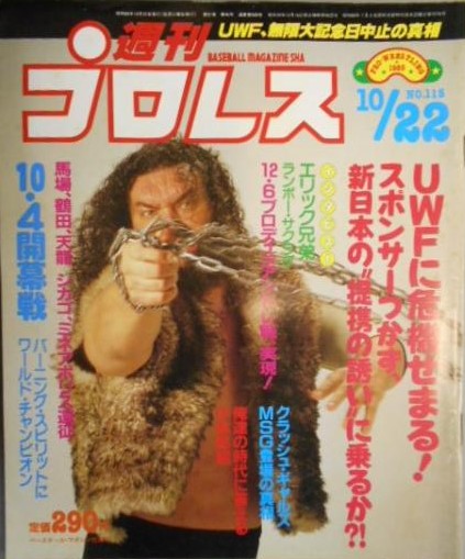 Weekly Pro Wrestling Volume 115 Magazine PWcatalog