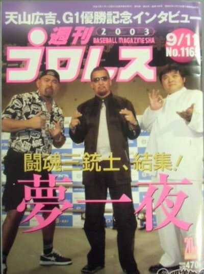 Weekly Pro Wrestling Volume 1165 Magazine PWcatalog