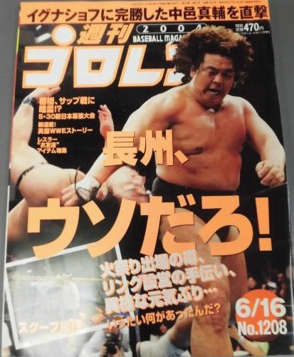 Weekly Pro Wrestling Volume 1208 Magazine PWcatalog