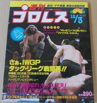 Weekly Pro Wrestling Volume 121 Magazine PWcatalog