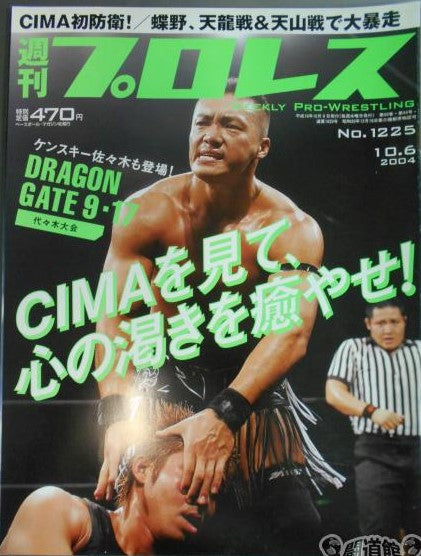 Weekly Pro Wrestling Volume 1225 Magazine PWcatalog