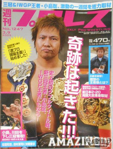 Weekly Pro Wrestling Volume 1247 Magazine PWcatalog