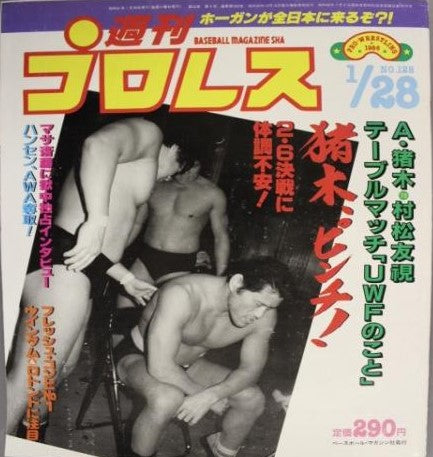 Weekly Pro Wrestling Volume 128 Magazine PWcatalog