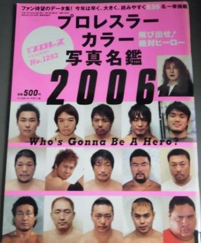 Weekly Pro Wrestling Volume 1293 Magazine PWcatalog