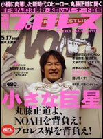 Weekly Pro Wrestling Volume 1314 Magazine PWcatalog