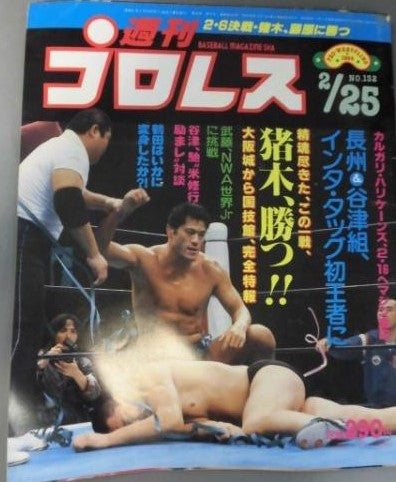 Weekly Pro Wrestling Volume 132 Magazine PWcatalog