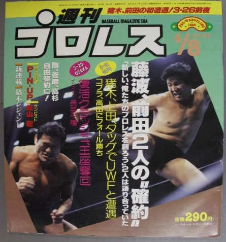 Weekly Pro Wrestling Volume 138 Magazine PWcatalog