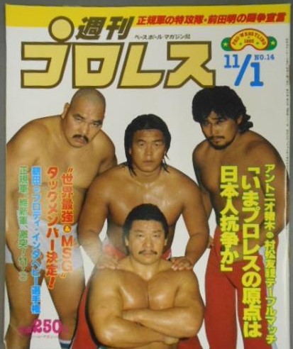 Weekly Pro Wrestling No. 14