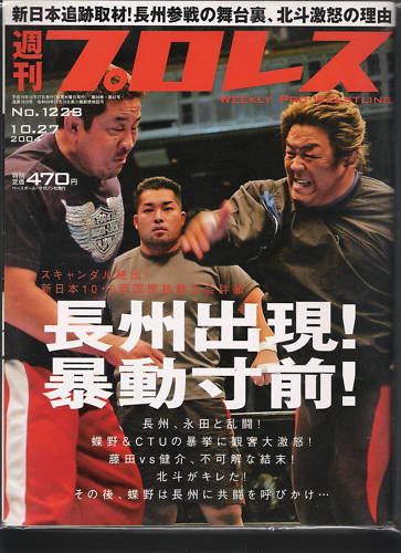 Weekly Pro Wrestling Volume 1228 Magazine PWcatalog