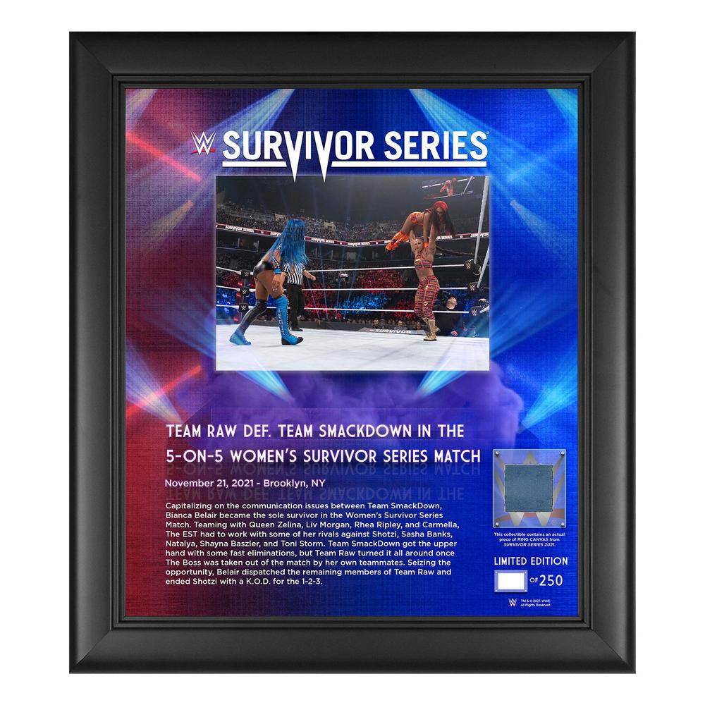 Women's Elimination Match Survivor Series 2021 15x17 Commemorative Plaque Pwcatalog