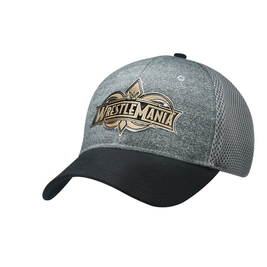 WrestleMania 34 Grey & Gold Logo Baseball Hat