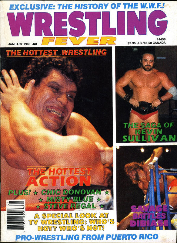 Wrestling Fever January 1989 Magazine PWcatalog