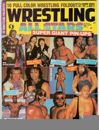 Wrestling All Stars poster7 1980 Magazine PWcatalog