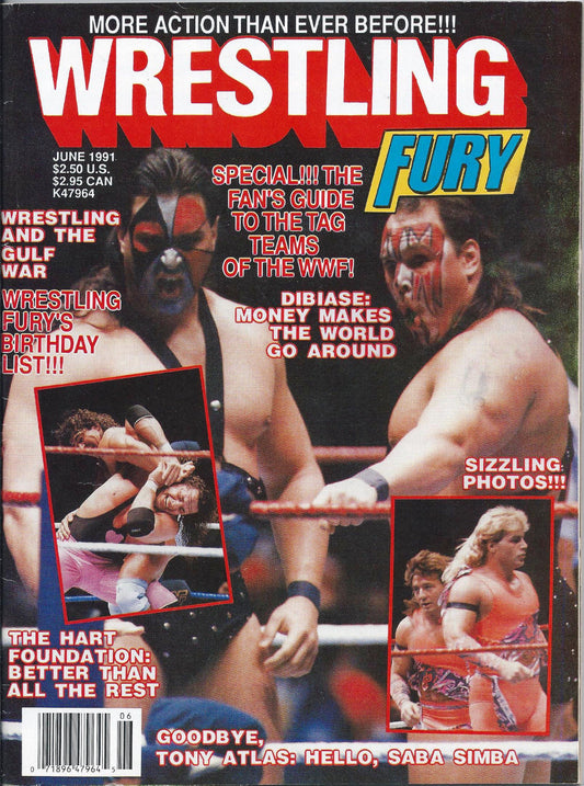 Wrestling Fury  June 1991