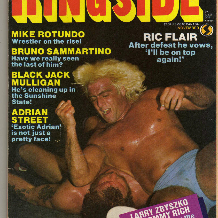 Wrestling Ringside November 1983 Magazine PWcatalog