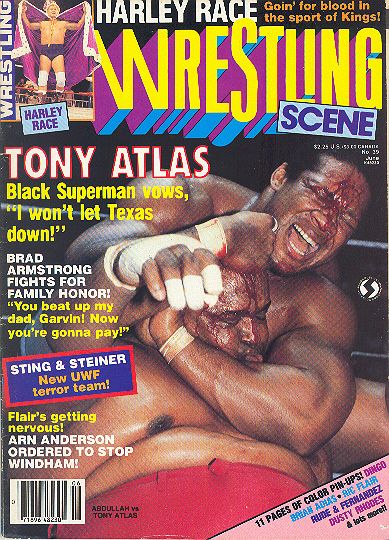 Wrestling Scene  June 1987