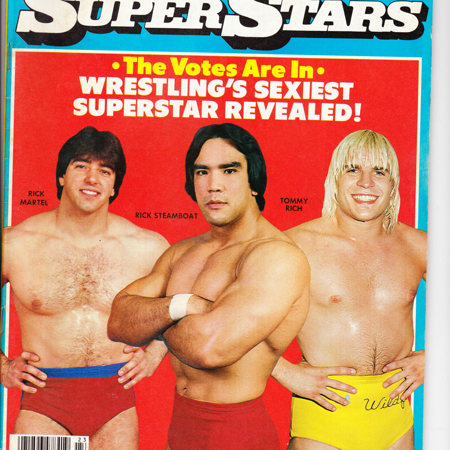 Wrestling SuperStars Fall 1982 Magazine PWcatalog