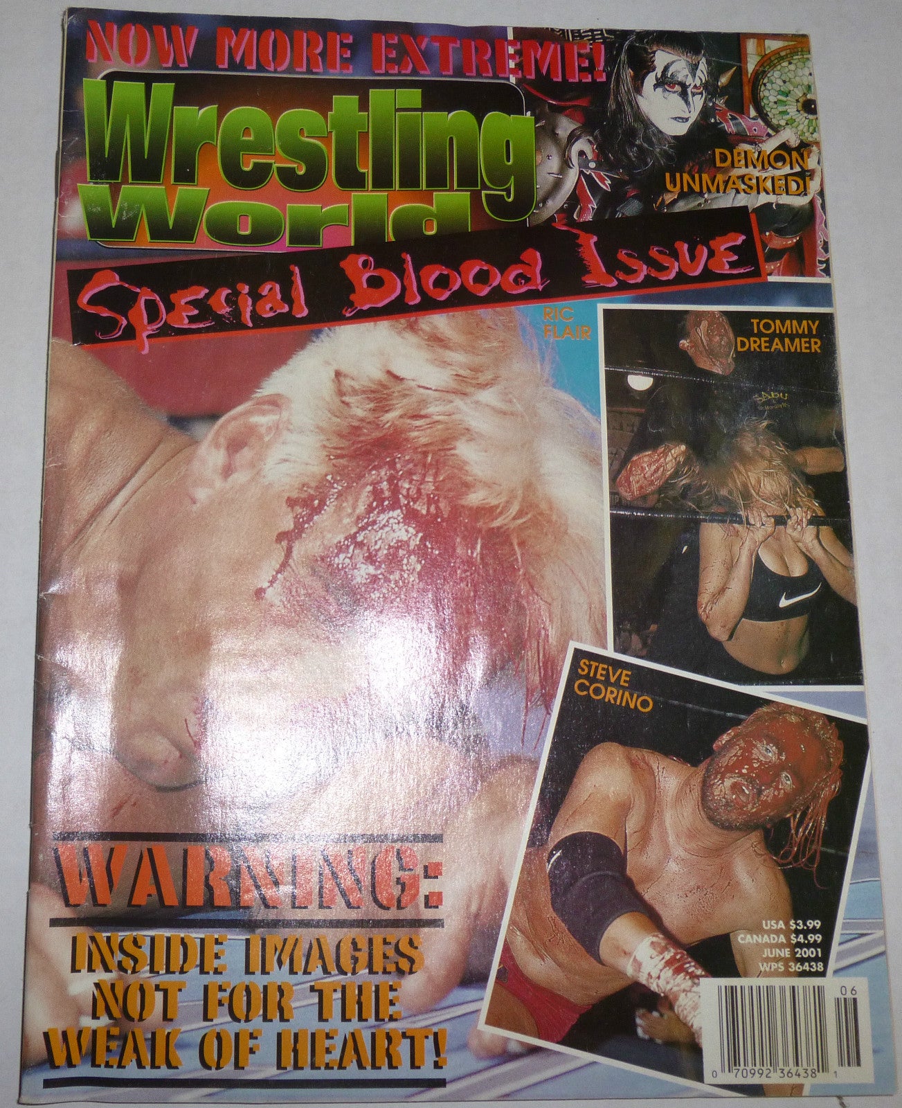 Wrestling World June 2001 Magazine PWcatalog