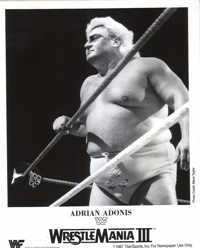 1987 Adrian Adonis WM3