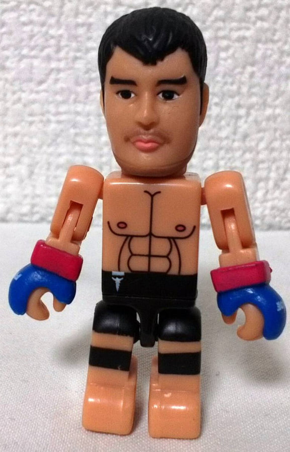 PRIDE Run'A Tinibiz Nobuhiko Takada [With Ring Gear] Action & Toy Figures PWcatalog