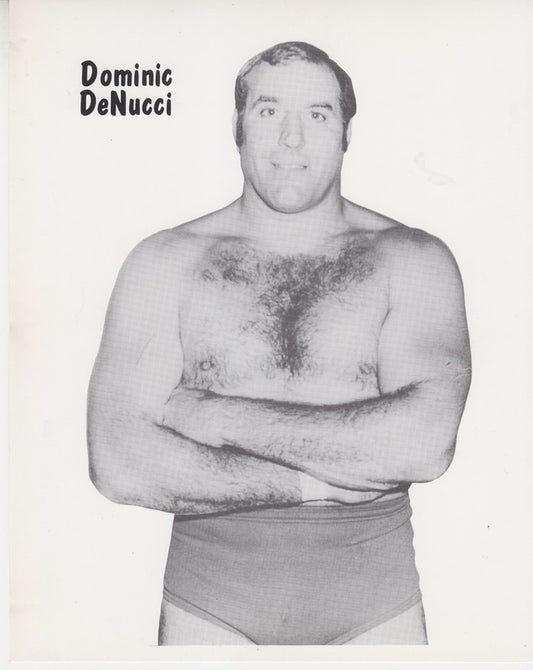 Promo-Photo-Territories-1980's-WWWF-Dominic DeNucci 