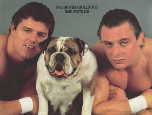 1987 WWF/Borden British Bulldogs 8.5x11 Promo Photo Color