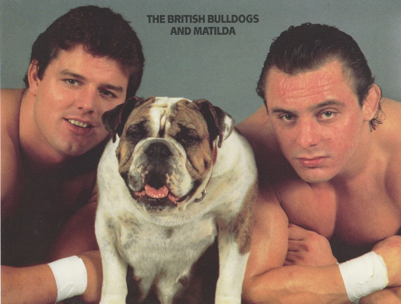 1987 WWF/Borden British Bulldogs 8.5x11 promo photo color