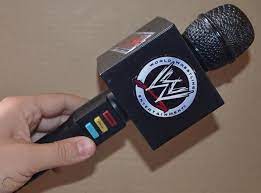 WWE Microphone