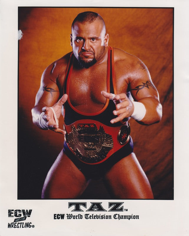 TV CHAMPION Taz 