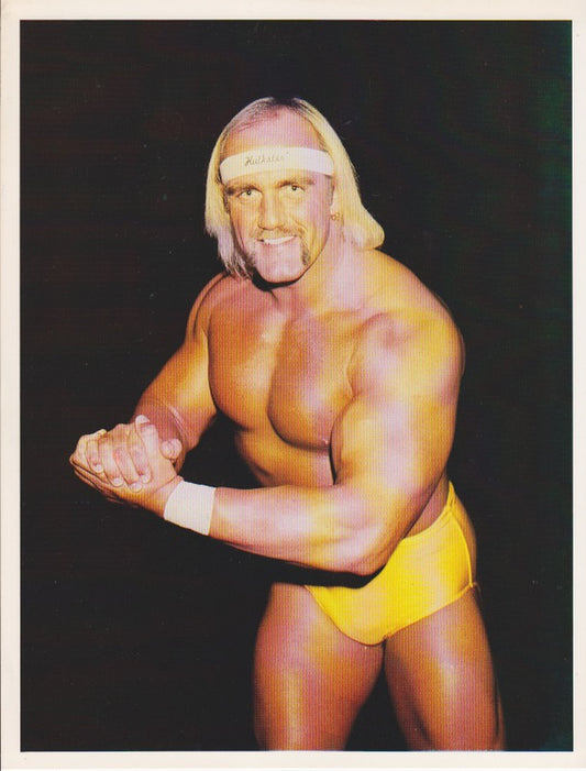1985 LJN/Toys R Us Hulk Hogan Color