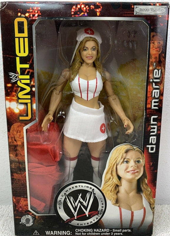 WWE Jakks Pacific Boxed Dawn Marie