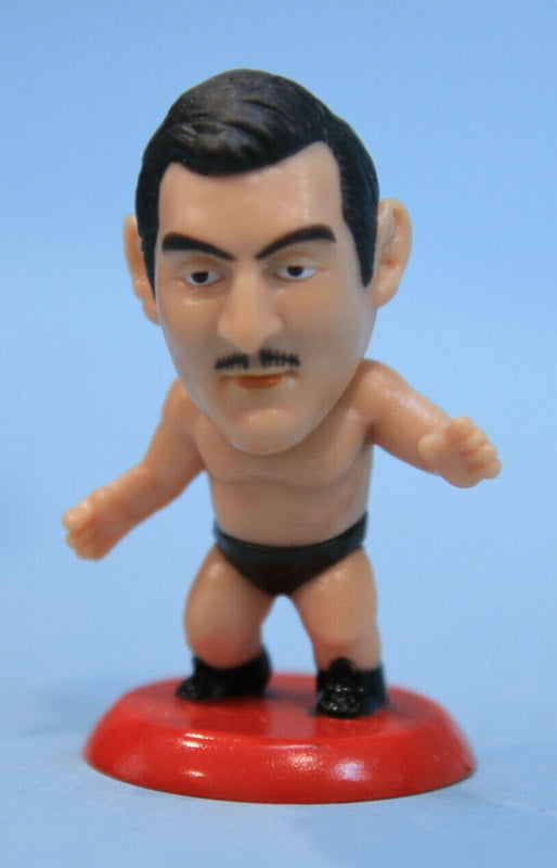 CharaPro Mini Big Heads/Pro-Kaku Heroes 5 Karl Gotch