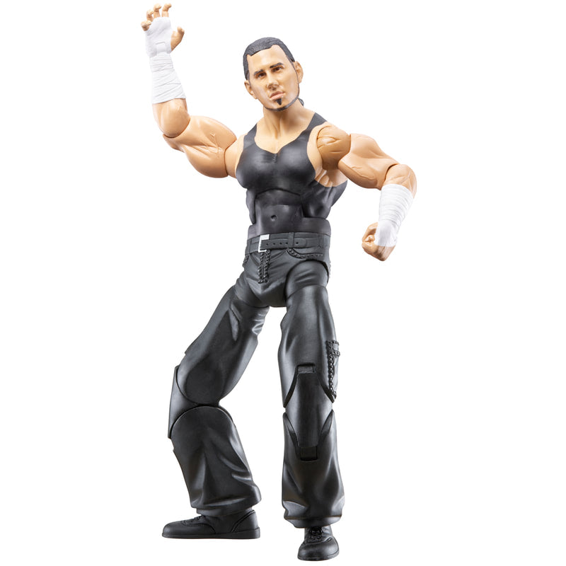 WWE Jakks Pacific Maximum Aggression 5 Matt Hardy [Unreleased]