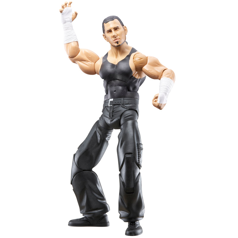 WWE Jakks Pacific Maximum Aggression 5 Matt Hardy [Unreleased] Action & Toy Figures PWcatalog