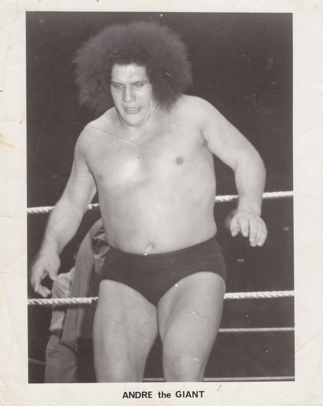 1980's NWA Andre The Giant Promo Photo PWcatalog