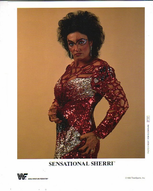 1993 Sensational Sherri P131 color PW Catalog