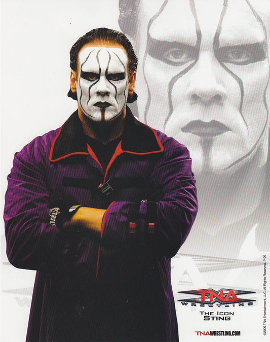 2009 TNA Sting P-29